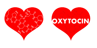 The ‘Love Hormone’ Oxytocin Plays a Big Role in Bonding