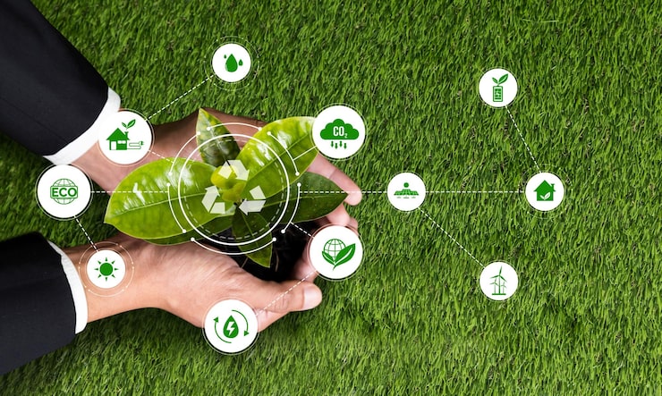 Understanding Green Management