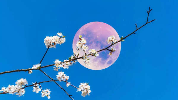 Flower Moon full moon spiritual meaning