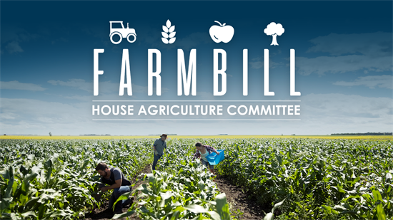Problems with the farm bill