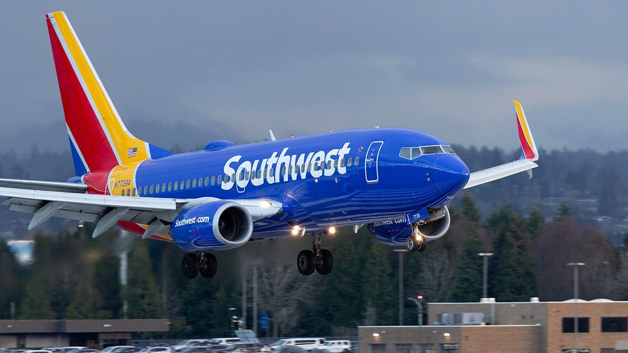 Southwest Flight Attendant Immigration Case